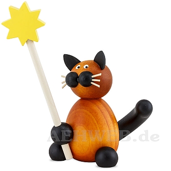 Katze Bommel mit Stern