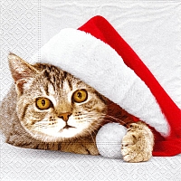 Serviette - Santa Cat