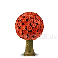 Blütenbaum orange
