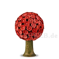 Blütenbaum rot