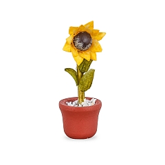 Sunflower in pot from Flade